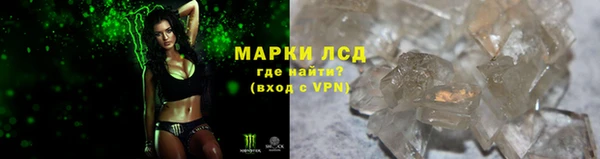 шишки Верхний Тагил