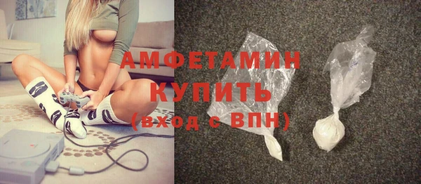 шишки Верхний Тагил