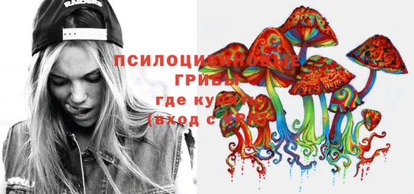 шишки Верхний Тагил