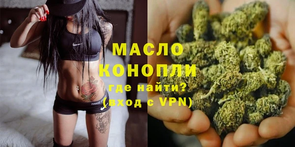 шишки Верхний Тагил
