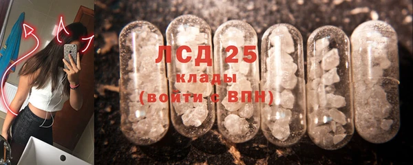 шишки Верхний Тагил