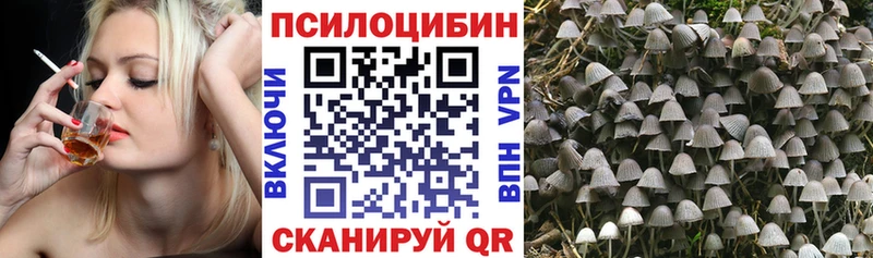 Купить  Краснокамск  Галлюциногенные грибы мицелий 